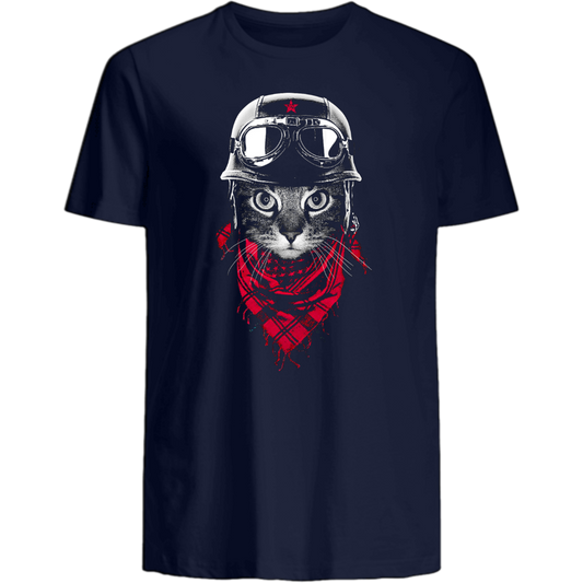 Abenteuer Katze - Katzenlover