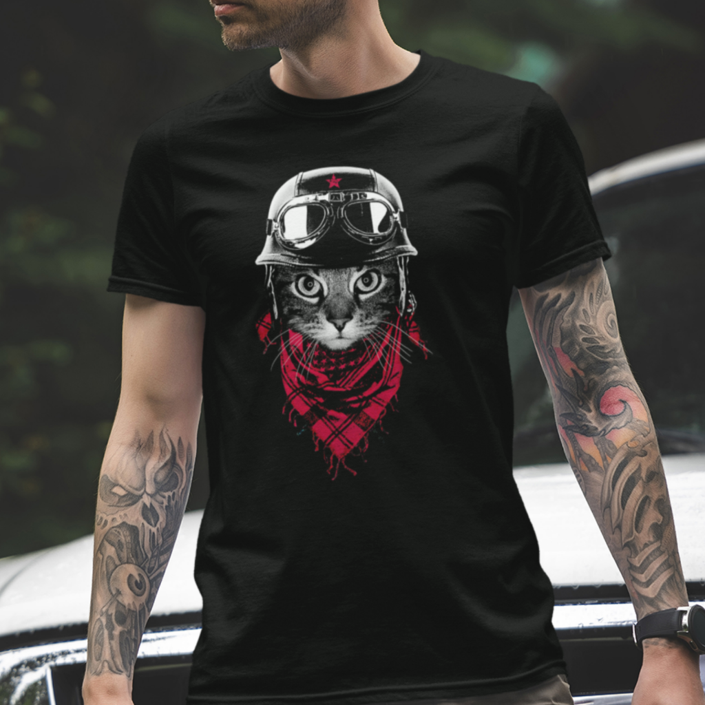 Abenteuer Katze - Katzenlover