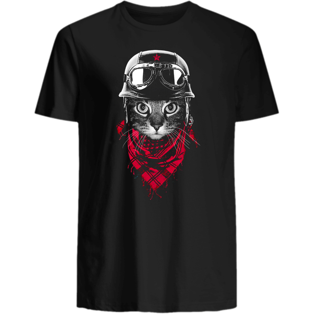 Abenteuer Katze - Katzenlover