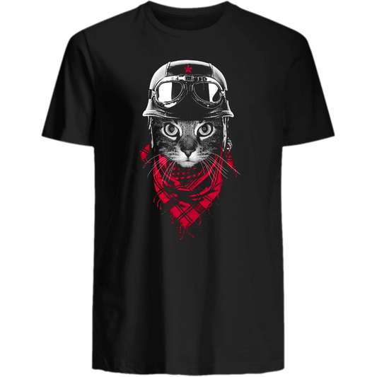 Abenteuer Katze - Katzenlover